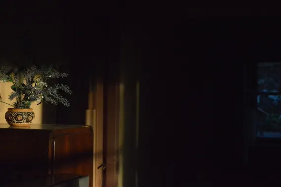 Trada Casino Suporte